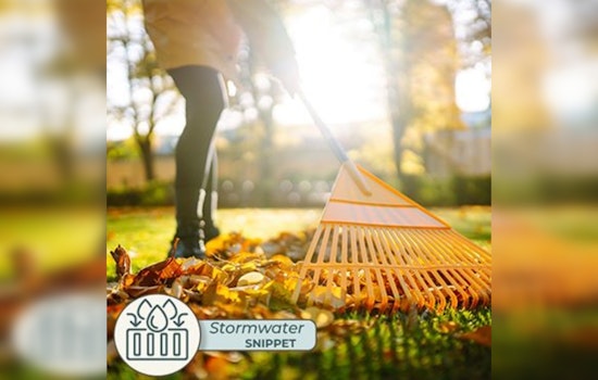 Anoka County Tackles Illegal Dumping to Protect Minnesota Waterways and Preserve Local Ecosystems