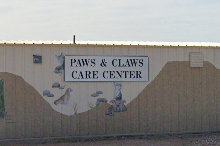 Apache Junction Animal Control Temporarily Halts Animal Surrenders Due to Construction
