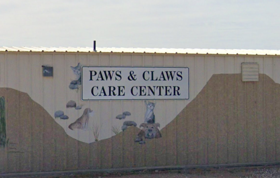 Apache Junction Animal Control Temporarily Halts Animal Surrenders Due to Construction
