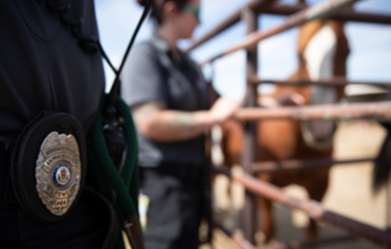 Arapahoe County Honors Dedication of Animal Control Officers During Appreciation Week