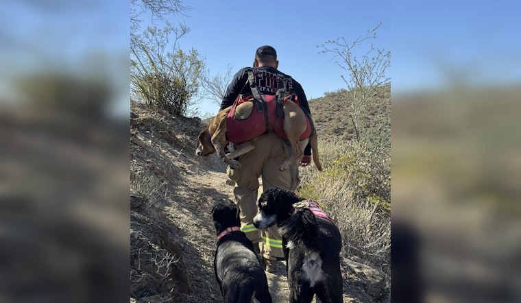Arizona Duo of Loyal Dogs Safely Rescued After Four Days Lost in Desert Wilderness