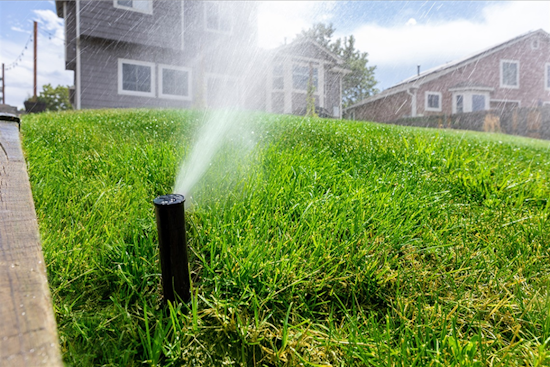 Arlington Offers Free Landscaping Workshop to Cultivate Eco-Friendly Yards in North Texas