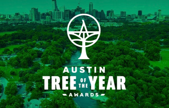Austin Celebrates National Arbor Day with Revived Tree of the Year Awards