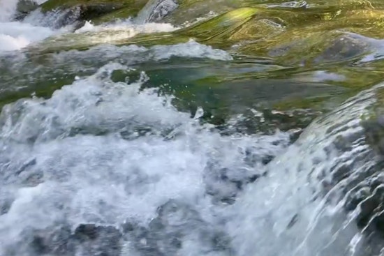 Austin Celebrates Watershed Gains: 25% Flood Insurance Discount, Aquifer Recharge Project, and Enhanced Flood Response Systems