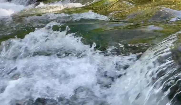 Austin Celebrates Watershed Gains: 25% Flood Insurance Discount, Aquifer Recharge Project, and Enhanced Flood Response Systems
