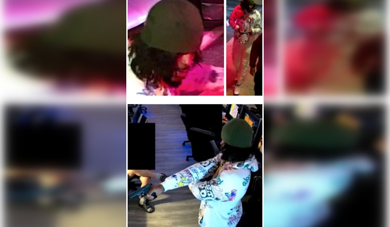 Austin Police Seek Public's Help to Nab Armed Suspects in Zebra Smoke Shop Robbery