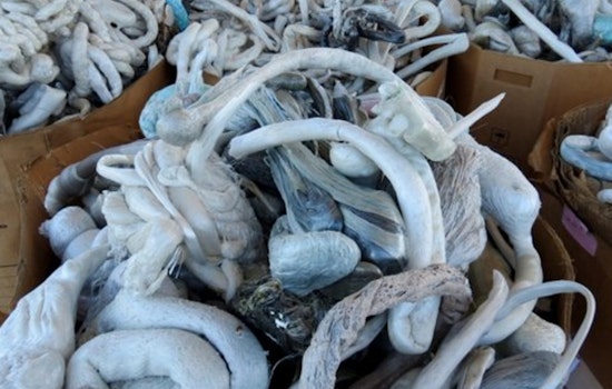 Austin Highlights Longstanding Styrofoam Recycling Program at Reuse Drop-off Center