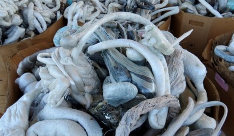 Austin Highlights Longstanding Styrofoam Recycling Program at Reuse Drop-off Center