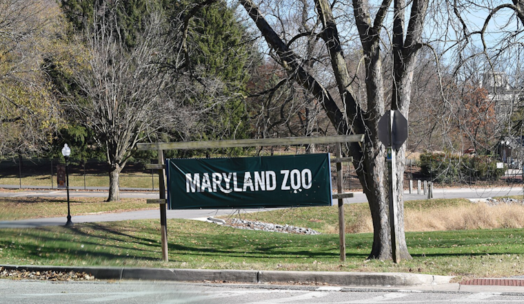 Baltimore's Maryland Zoo Welcomes Surprise Giraffe Calf Born to Unknowingly Expectant Mother