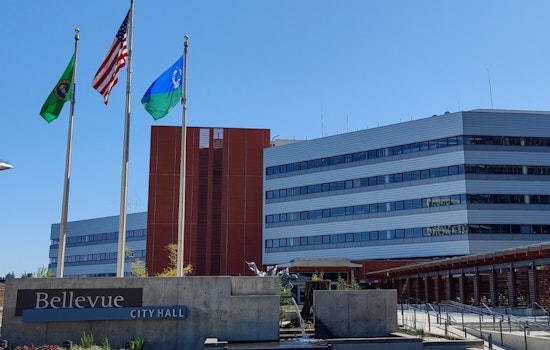 Bellevue Seeks Passionate Residents to Shape City's Future on Key Boards and Commissions