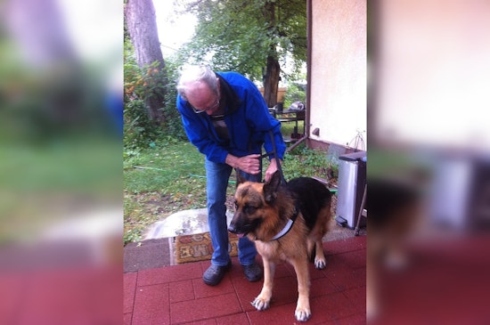 Bipartisan Effort Led by Senators Tillis and Blumenthal Aims to Provide Service Dogs to Veterans with PTSD