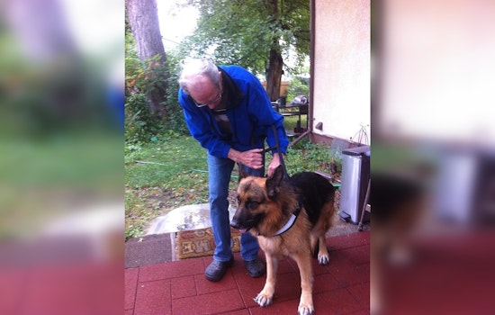 Bipartisan Effort Led by Senators Tillis and Blumenthal Aims to Provide Service Dogs to Veterans with PTSD