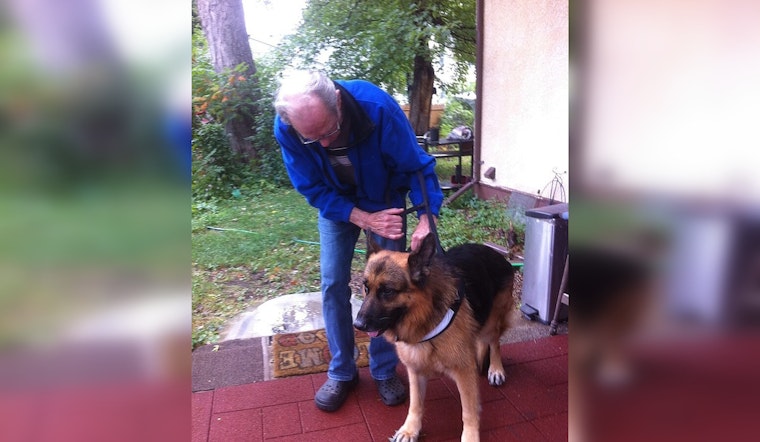 Bipartisan Effort Led by Senators Tillis and Blumenthal Aims to Provide Service Dogs to Veterans with PTSD