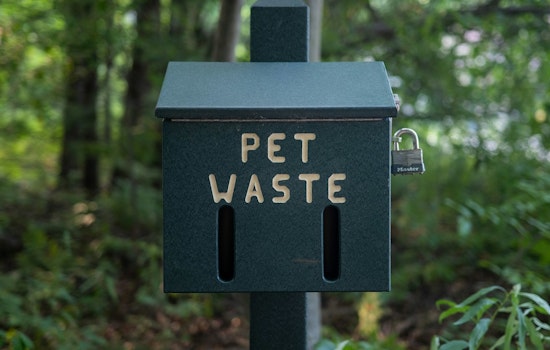 Blaine City Battles Pet Waste Pollution: New Stations Aim to Protect Waterways