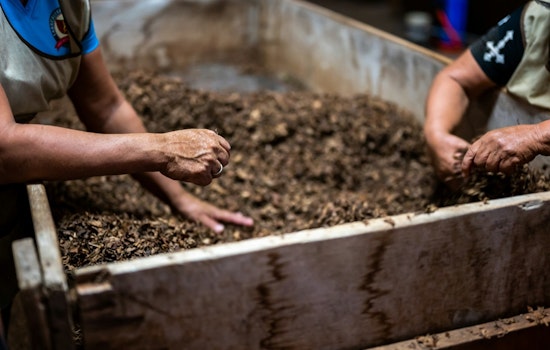 Bloomington Rallies Residents for May Organics Recycling with "Earth Action Hero" BINGO and Free Compost Giveaway
