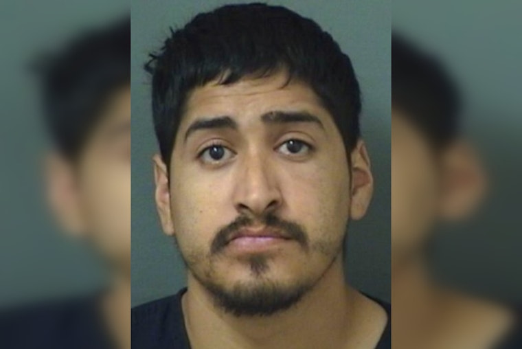 Boca Raton Man Charged with Aggravated Animal Cruelty for Allegedly Beating Dog with Trailer Hitch
