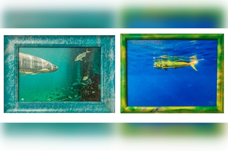 Boca Raton Public Library to Feature Brett Waldman's "Colors of the World" Photography Exhibit This Spring
