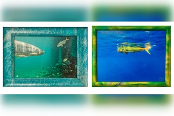 Boca Raton Public Library to Feature Brett Waldman's "Colors of the World" Photography Exhibit This Spring
