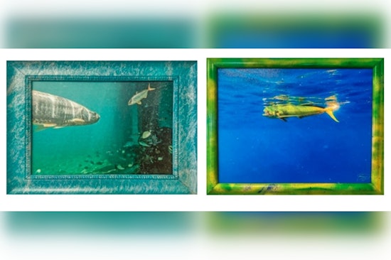 Boca Raton Public Library to Feature Brett Waldman's "Colors of the World" Photography Exhibit This Spring