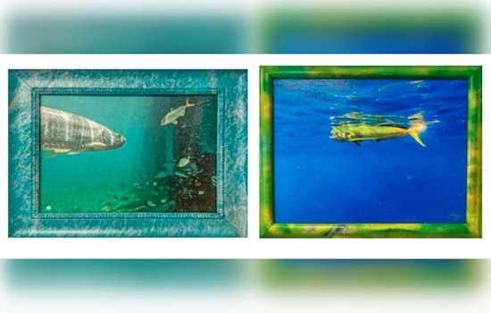Boca Raton Public Library to Feature Brett Waldman's "Colors of the World" Photography Exhibit This Spring
