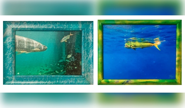 Boca Raton Public Library to Feature Brett Waldman's "Colors of the World" Photography Exhibit This Spring