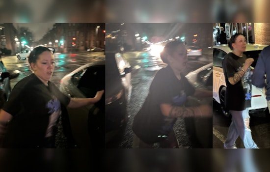 Boston Police Seek Public's Help to Identify Suspect in South End Vandalism Incident