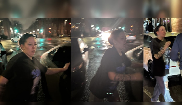 Boston Police Seek Public's Help to Identify Suspect in South End Vandalism Incident