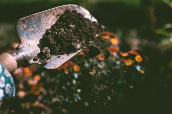 Boulder Advocates Composting as Key to Climate Solutions Ahead of International Compost Awareness Week