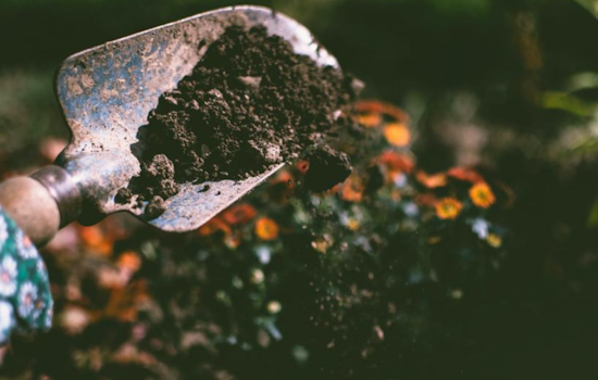 Boulder Advocates Composting as Key to Climate Solutions Ahead of International Compost Awareness Week
