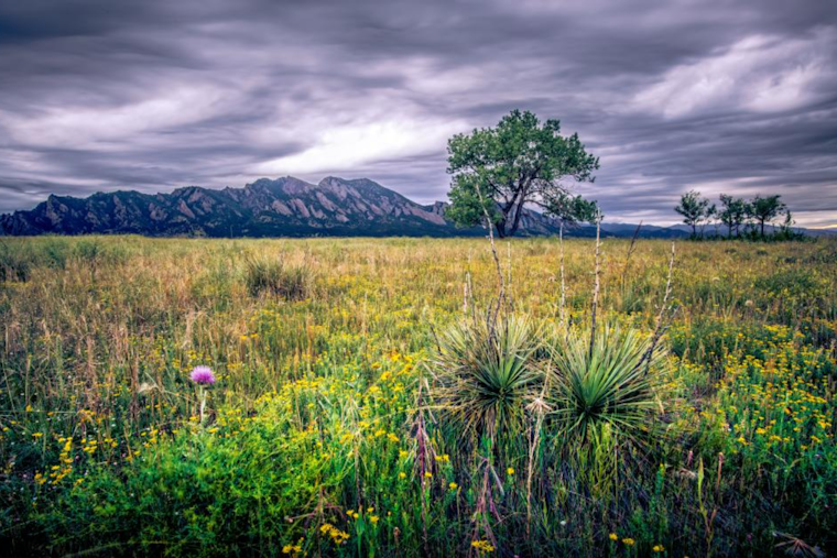Boulder Celebrates Earth Day with Sustainable Workshops, Film Screening, and Community Events