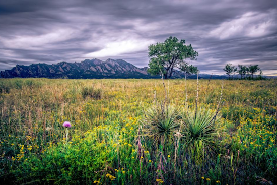 Boulder Celebrates Earth Day with Sustainable Workshops, Film Screening, and Community Events