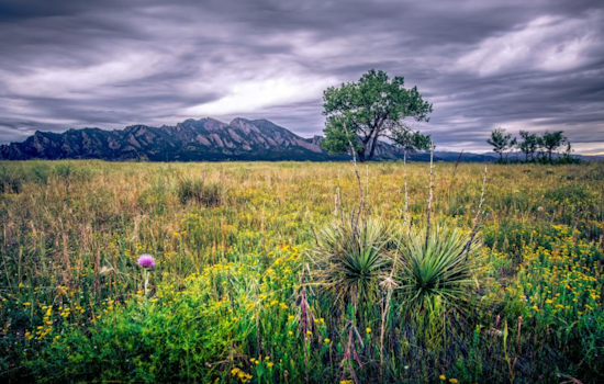 Boulder Celebrates Earth Day with Sustainable Workshops, Film Screening, and Community Events