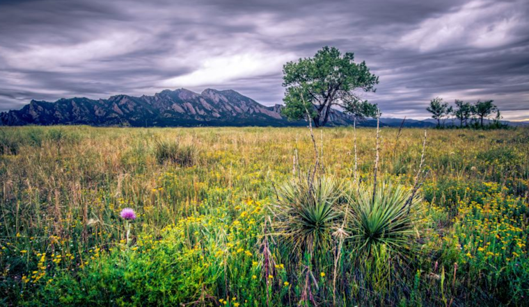 Boulder Celebrates Earth Day with Sustainable Workshops, Film Screening, and Community Events