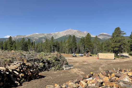 Boulder County Announces Free Yard Waste Disposal as Community Forestry Sort Yards Open for 2025 Season
