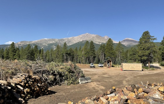 Boulder County Announces Free Yard Waste Disposal as Community Forestry Sort Yards Open for 2025 Season