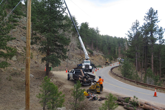 Boulder County Boosts Wildfire Defense with Strategic Fuels Mitigation Grants