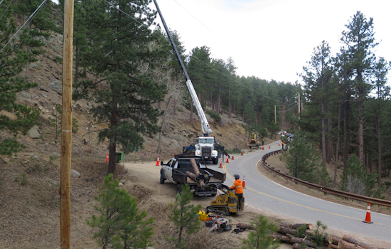 Boulder County Boosts Wildfire Defense with Strategic Fuels Mitigation Grants
