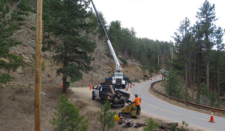 Boulder County Boosts Wildfire Defense with Strategic Fuels Mitigation Grants