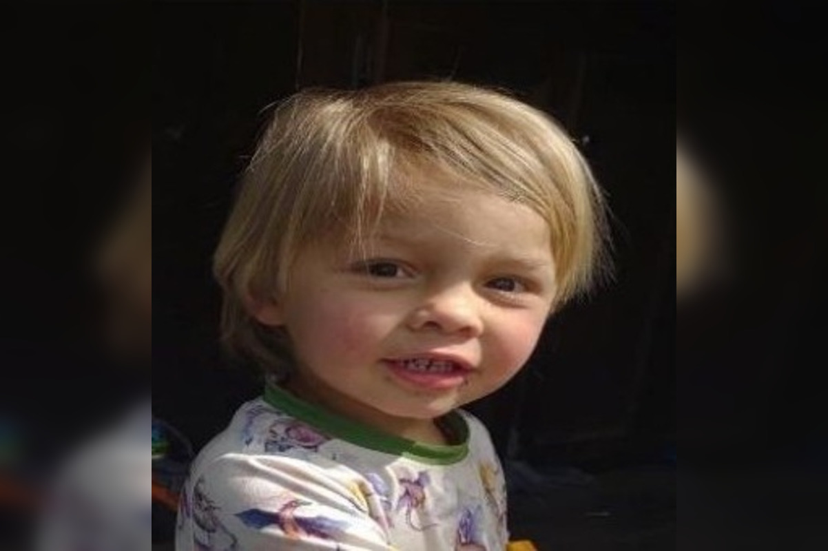 Brave Dog Brings 2-Year-Old Boy Home After 16-Hour Search in Arizona