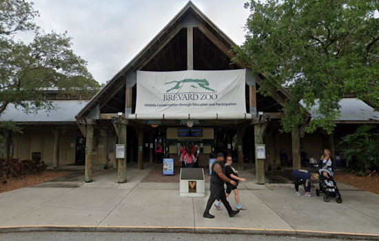 Brevard Zoo Launches New Manatee Rehabilitation Center Amid Rising Mortalities in Indian River Lagoon