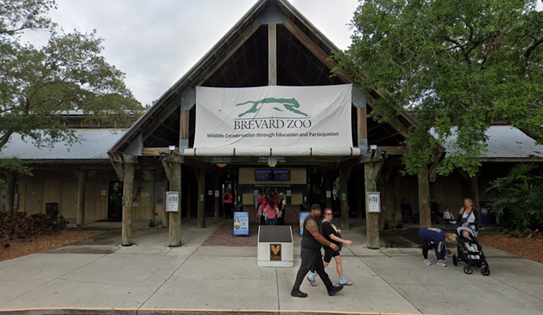 Brevard Zoo Launches New Manatee Rehabilitation Center Amid Rising Mortalities in Indian River Lagoon