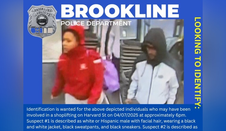 Brookline Police Seek Public's Help to Identify Suspects in Harvard St Shoplifting Incident
