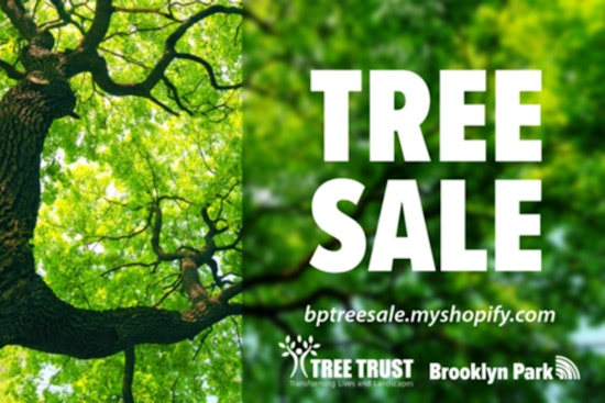 Brooklyn Park Partners with Tree Trust for Discounted Community Tree Sale