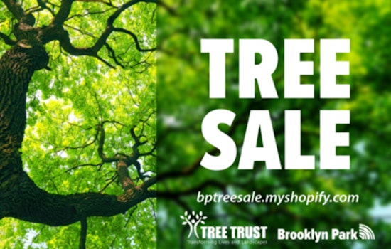 Brooklyn Park Partners with Tree Trust for Discounted Community Tree Sale