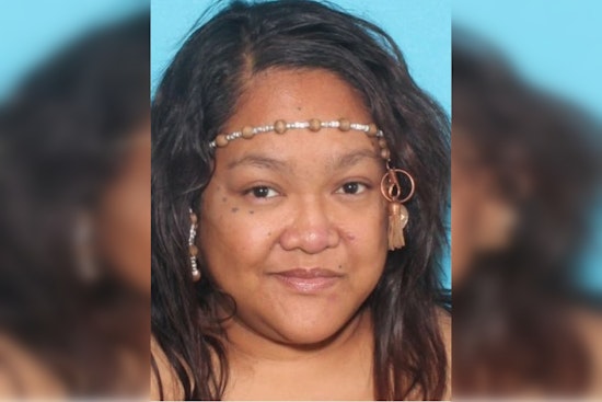 Brooklyn Park Police Seek Public's Assistance in Locating Missing 31-Year-Old Hanna Don