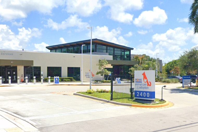 Broward County Invites Community to Pamper Shelter Dogs at Upcoming Shelter Shindig in Fort Lauderdale