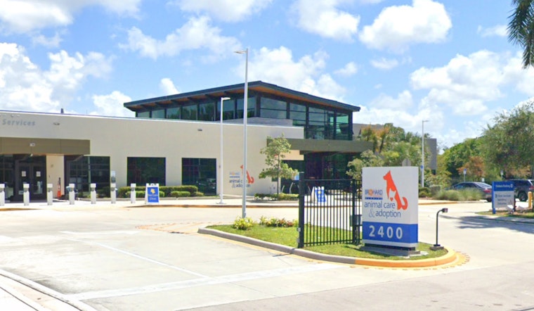 Broward County Invites Community to Pamper Shelter Dogs at Upcoming Shelter Shindig in Fort Lauderdale