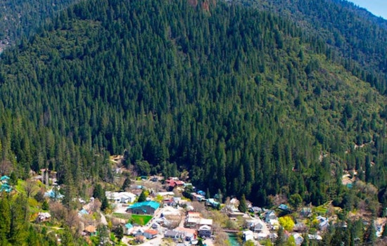 California Bolsters Wildfire Defenses with $170M Funding Boost and Expedited Forest Management Projects