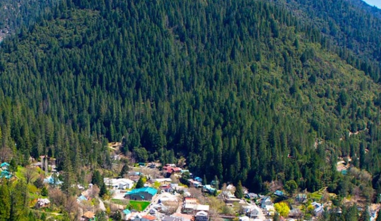 California Bolsters Wildfire Defenses with $170M Funding Boost and Expedited Forest Management Projects