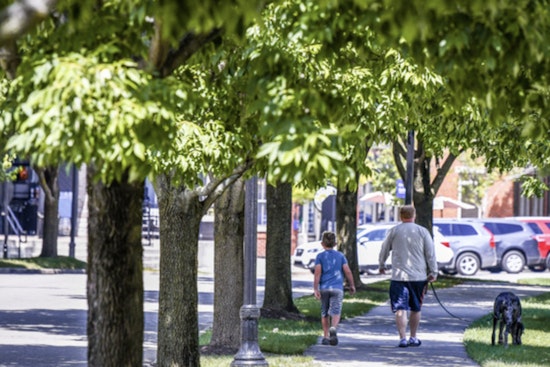 Carmel Marks 32nd Arbor Day with Tree Care Education and Free Seedlings at Farmers Market
